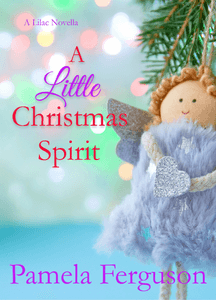 A Little Christmas Spirit book cover