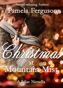 Christmas at Mountain Mist book cover